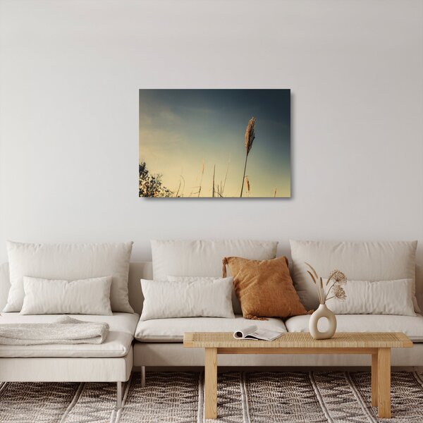 Obraz na szkle z trawą (70x50 cm)