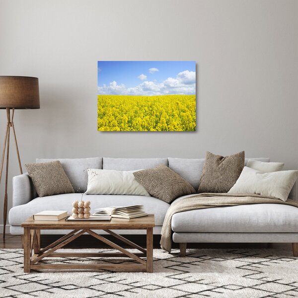 Obraz na szkle żółtego pola (70x50 cm)