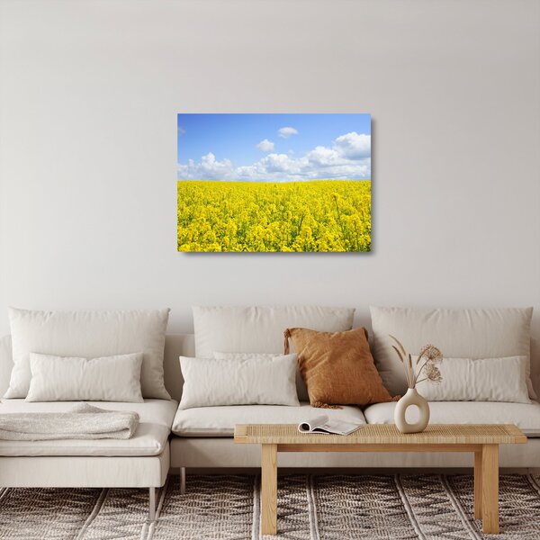 Obraz na szkle żółtego pola (70x50 cm)