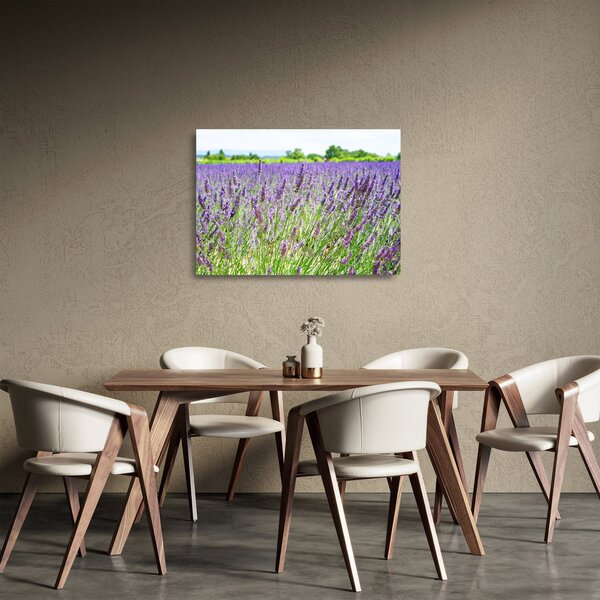 Obraz na szkle pola z lawendą (70x50 cm)