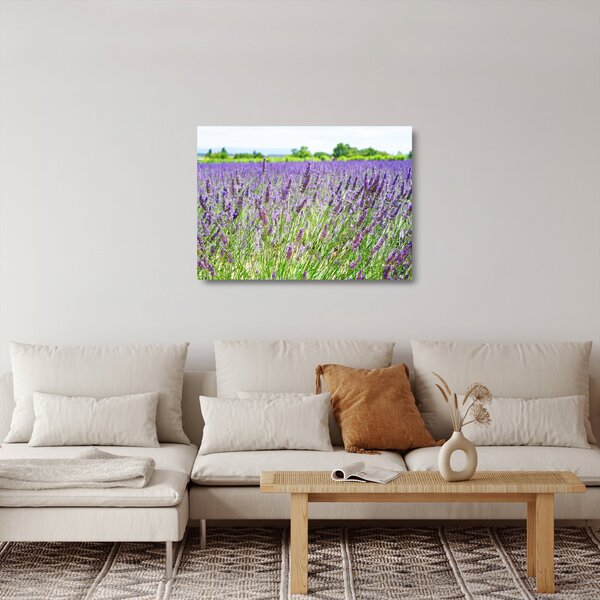 Obraz na szkle pola z lawendą (70x50 cm)