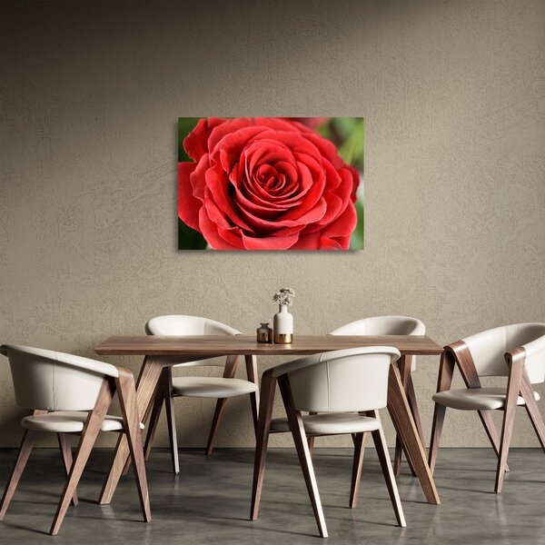 Obraz na szkle kwiatu róży (70x50 cm)