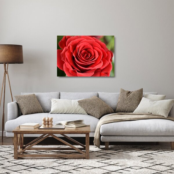 Obraz na szkle kwiatu róży (70x50 cm)