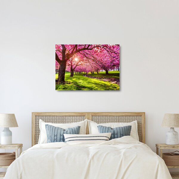 Obraz na szkle kwitnących czereśni, Hurd Park, Dover, New Jersey (70x50 cm)