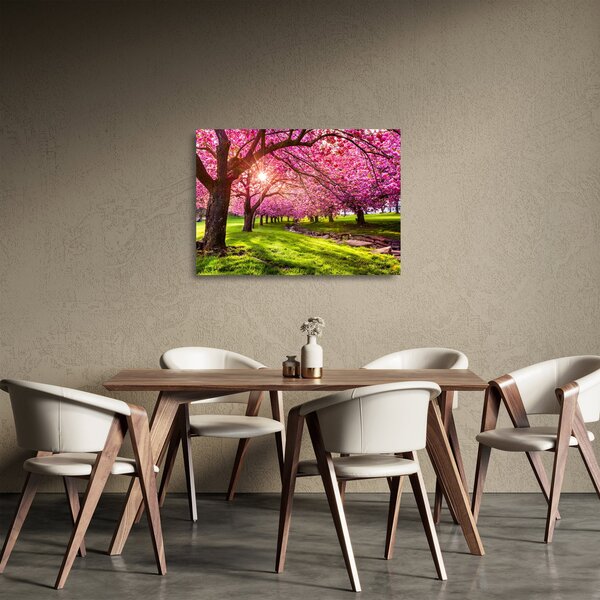 Obraz na szkle kwitnących czereśni, Hurd Park, Dover, New Jersey (70x50 cm)