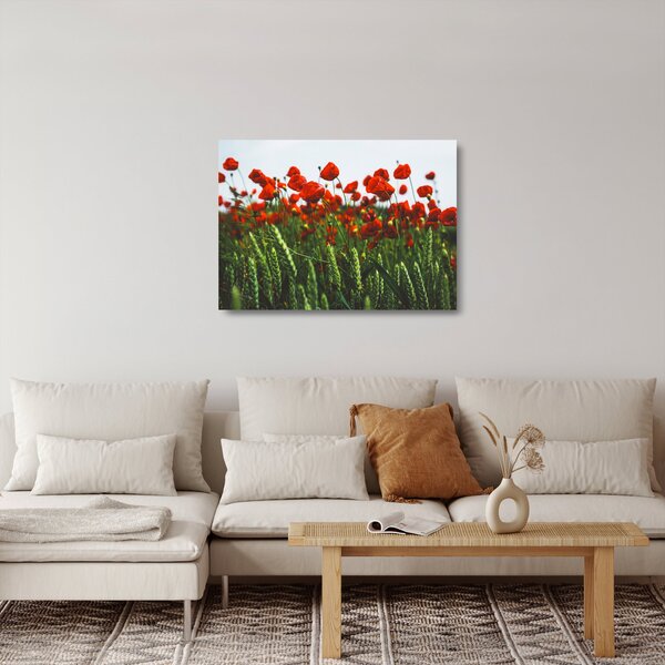 Obraz na szkle maków na wietrze (70x50 cm)