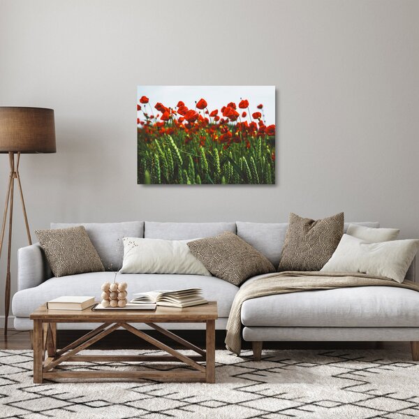 Obraz na szkle maków na wietrze (70x50 cm)