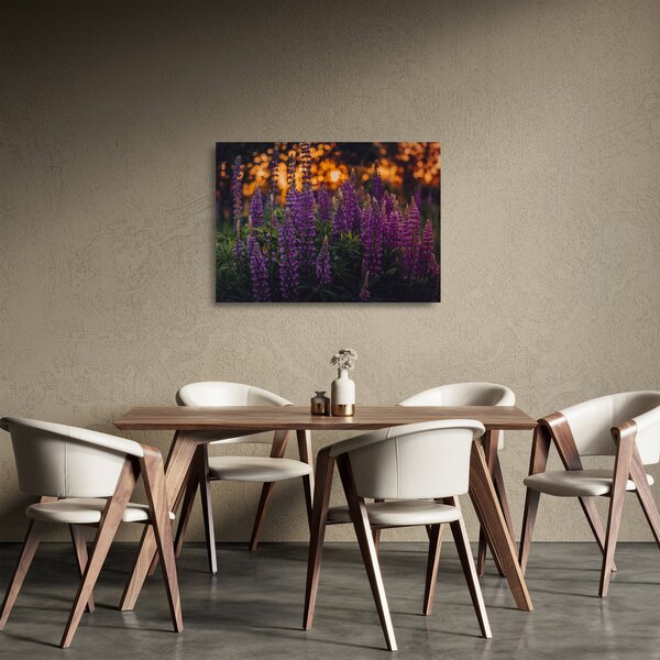 Obraz na szkle kwiatów łubinu (70x50 cm)