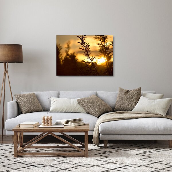 Obraz na szkle - słońce zachodzące za drzewami (70x50 cm)