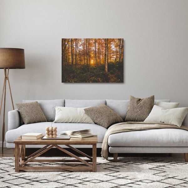 Obraz na szkle jesiennego lasu (70x50 cm)