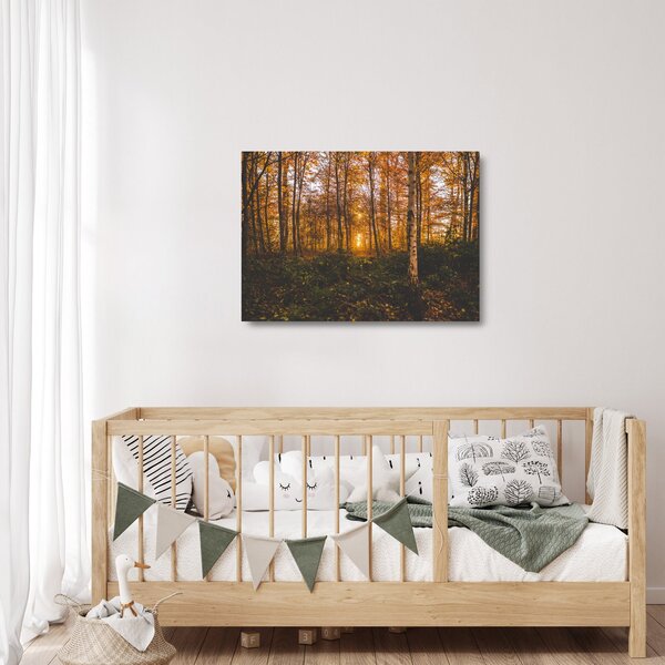 Obraz na szkle jesiennego lasu (70x50 cm)