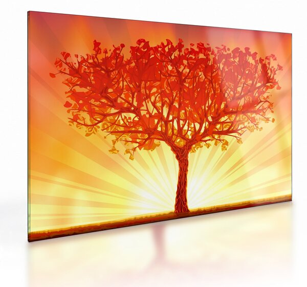 Obraz na szkle - Drzewo w słońcu (70x50 cm)