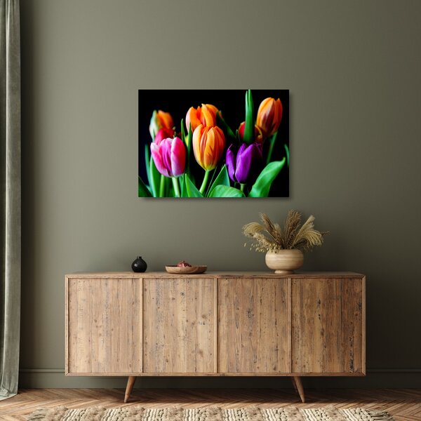 Obraz na szkle tulipanów na czarnym tle (70x50 cm)