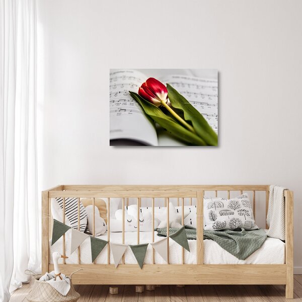 Obraz na szkle czerwonego tulipana (70x50 cm)