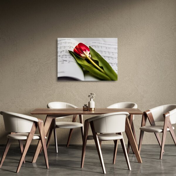 Obraz na szkle czerwonego tulipana (70x50 cm)