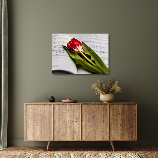 Obraz na szkle czerwonego tulipana (70x50 cm)