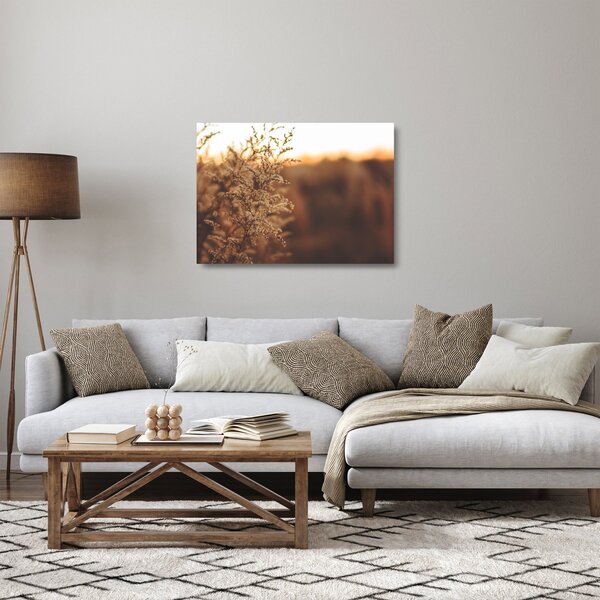 Obraz na szkle kwitnącej trawy (70x50 cm)