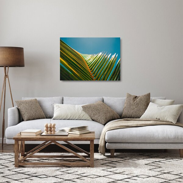 Obraz na szkle - Detal liścia palmowego (70x50 cm)