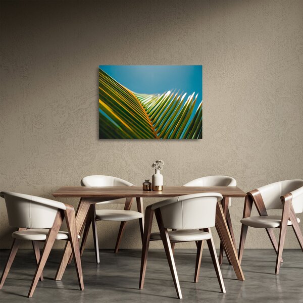 Obraz na szkle - Detal liścia palmowego (70x50 cm)