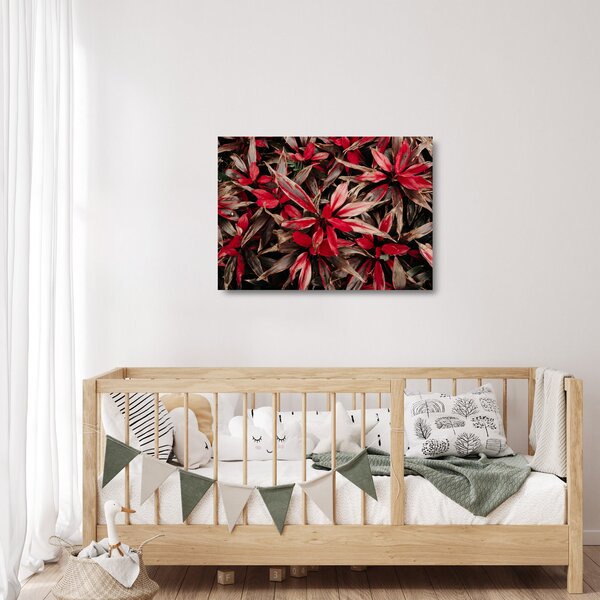 Obraz na szkle czerwonych płatków (70x50 cm)