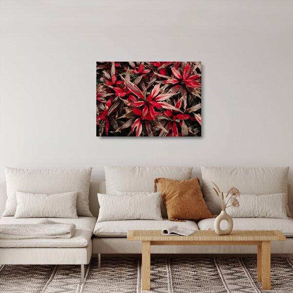 Obraz na szkle czerwonych płatków (70x50 cm)
