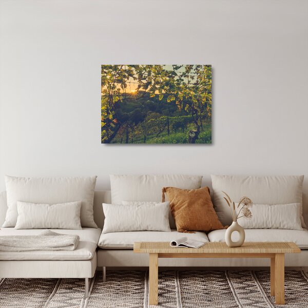 Obraz na szkle - Winnica (70x50 cm)