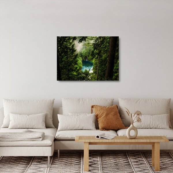 Obraz na szkle - Przestrzeń między drzewami (70x50 cm)