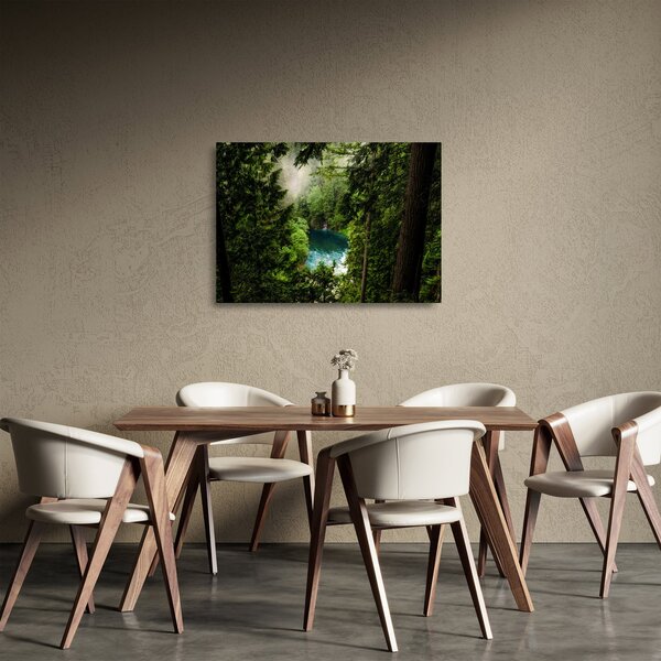 Obraz na szkle - Przestrzeń między drzewami (70x50 cm)