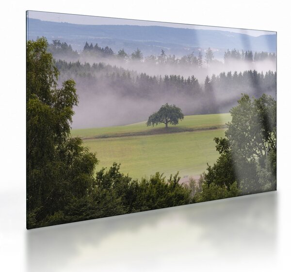 Obraz na szkle łąki z drzewem (70x50 cm)