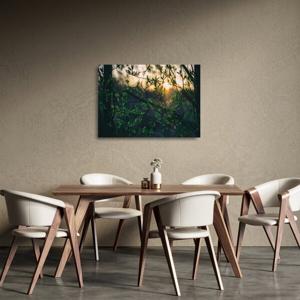 Obraz na szkle słońca przeświecającego przez gałęzie drzew (70x50 cm)