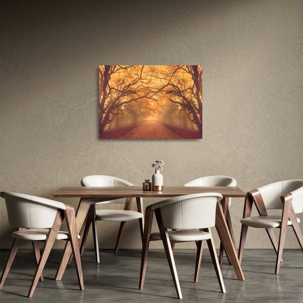 Obraz na szkle drogi w jesiennym krajobrazie (70x50 cm)