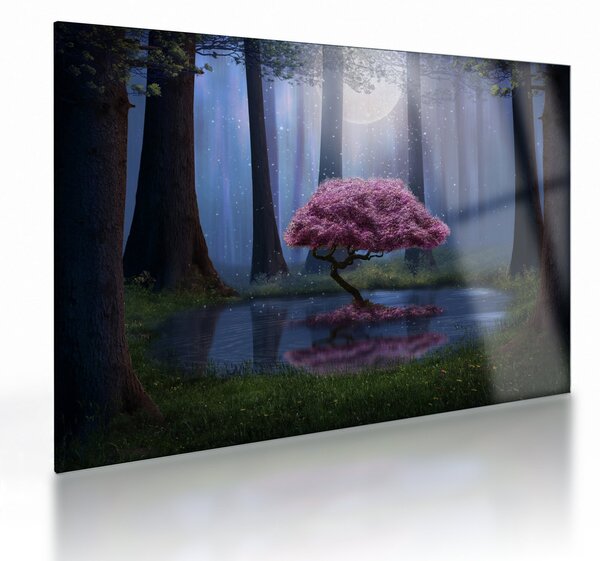 Obraz na szkle - Magiczna noc (70x50 cm)
