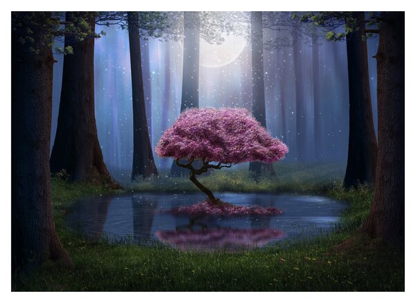 Obraz na szkle - Magiczna noc (70x50 cm)