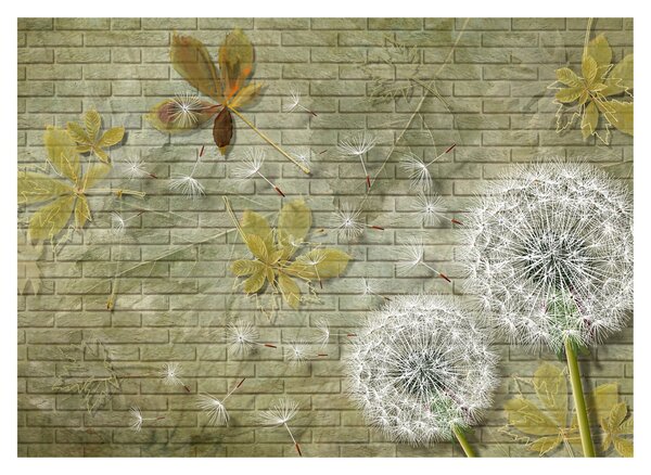 Obraz na szkle - Dmuchawce unoszone wiatrem (70x50 cm)