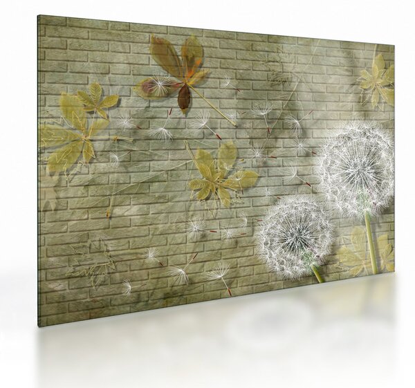 Obraz na szkle - Dmuchawce unoszone wiatrem (70x50 cm)