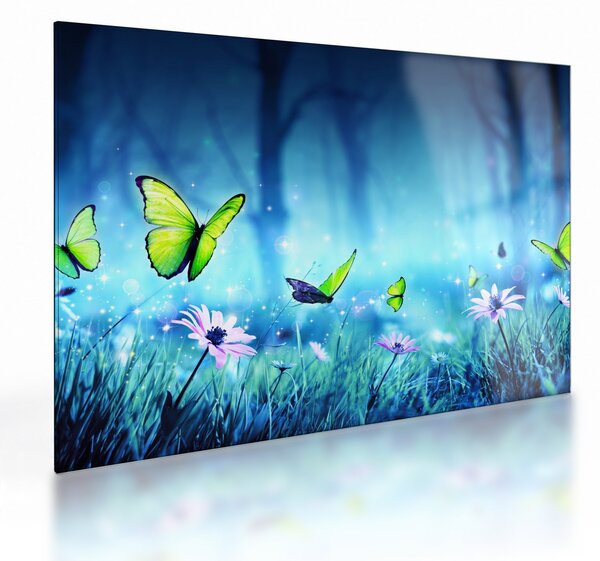 Obraz na szkle - Mistyczna leśna polana (70x50 cm)