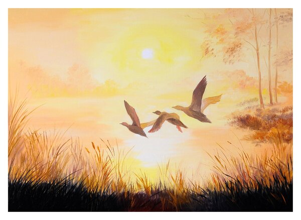 Obraz na szkle - Żurawie o zachodzie słońca (70x50 cm)