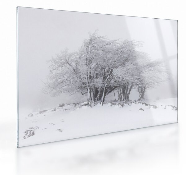 Obraz na szkle - Biała zima (70x50 cm)