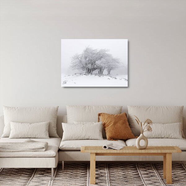 Obraz na szkle - Biała zima (70x50 cm)