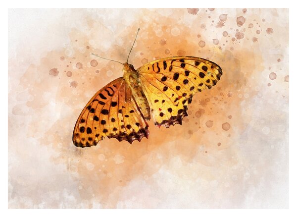 Obraz na szkle - Pomarańczowy motyl, akwarela (70x50 cm)