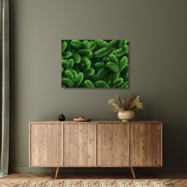 Obraz na szkle - Gałązki drzew iglastych (70x50 cm)