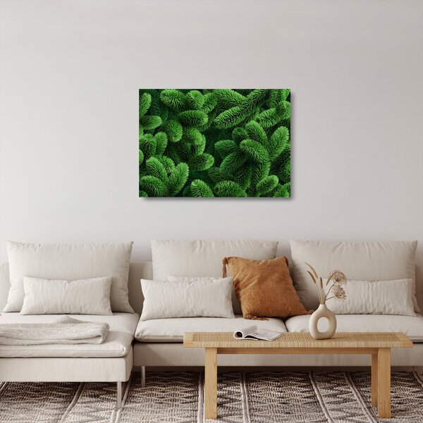 Obraz na szkle - Gałązki drzew iglastych (70x50 cm)