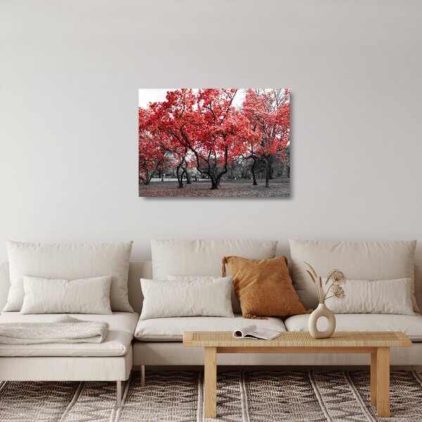Obraz na szkle - Czerwone drzewa, Central Park, New York (70x50 cm)