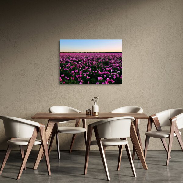 Obraz na szkle - Łąka fioletowych tulipanów (70x50 cm)