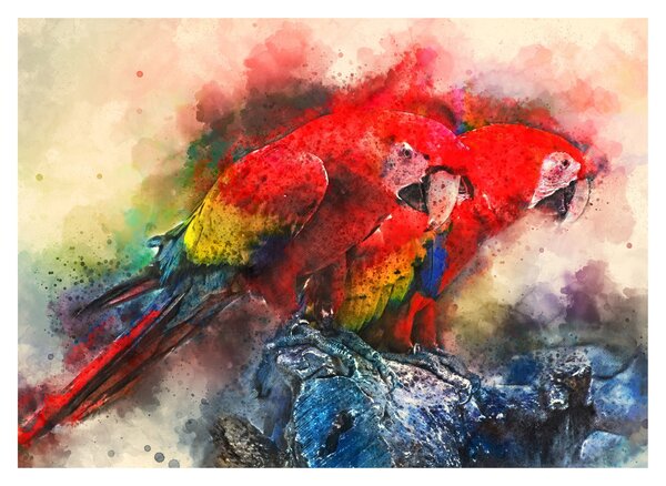 Obraz na szkle czerwonych papug Ara (70x50 cm)