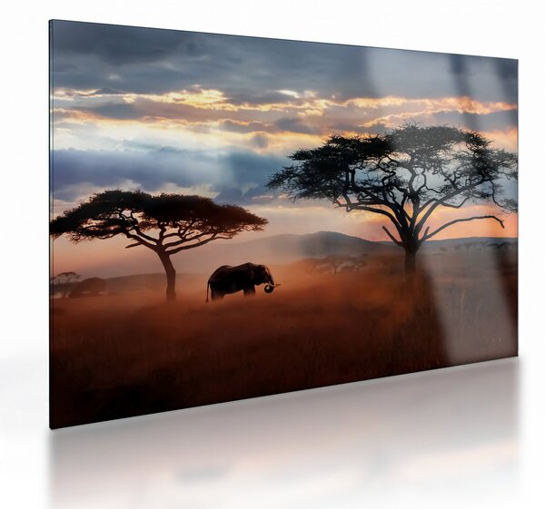Obraz na szkle - Park Narodowy Serengeti, Tanzania, Afryka (70x50 cm)