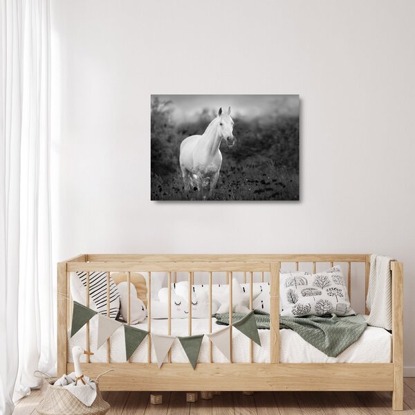 Obraz na szkle białego konia na łące, czarno - biały (70x50 cm)