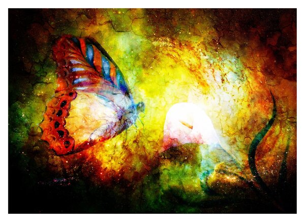 Obraz na szkle - Kosmiczny motyl (70x50 cm)
