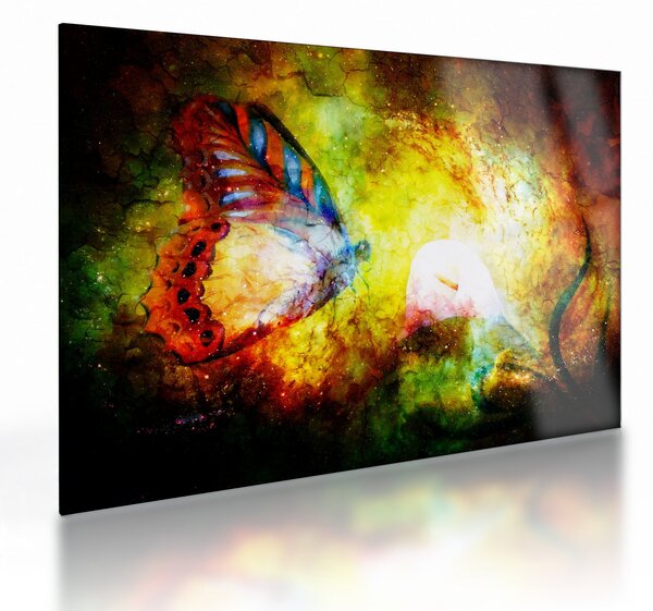 Obraz na szkle - Kosmiczny motyl (70x50 cm)