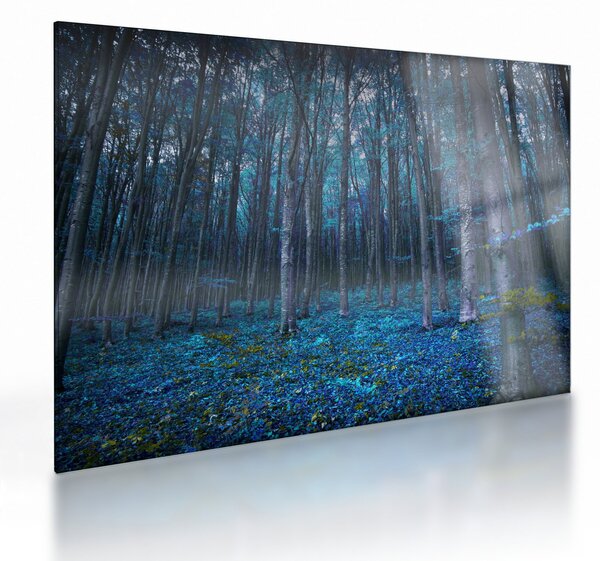Obraz na szkle - Magiczny las (70x50 cm)